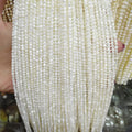 Wholesale Natural Shell Beaded White Round Shape Craft Shell Loose Beads for Jewelry Making DIY Bracelet Necklace Accessories
