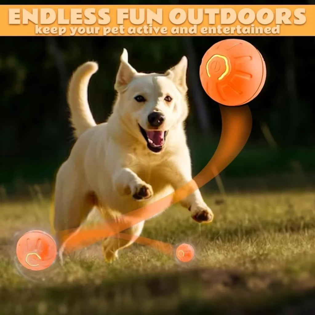 Pet Toys Gravity Electric Amusement Pet Ball Smart Bouncing Ball For Dogs and Cats