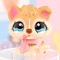 Pet Shop Short Hair Cat Dachshund Collie Deer More Different Choice Cat/Dog Puppy Kids Gift Set