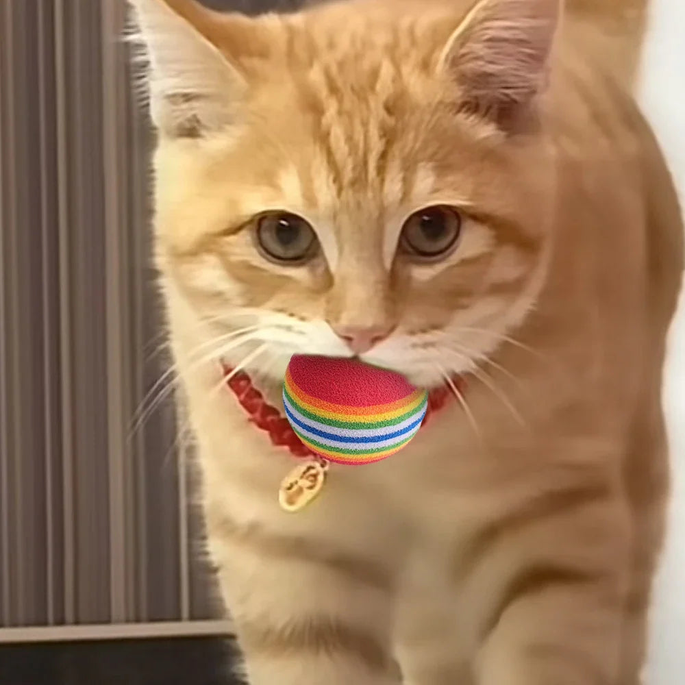 50/10PCS Pet Toy Balls Interactive Rainbow EVA Balls Cat Dog Training Toys Soft Automatic Jumping Balls Pet Playing Supplies